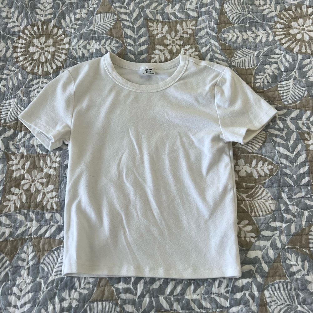 Aritzia tee